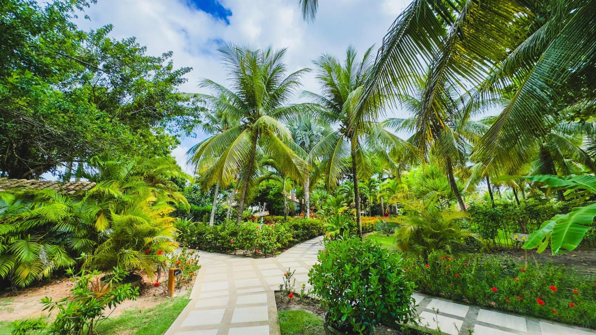 Casa Acayu Hotel เซามิเกลโดสมีลาเกรส ภายนอก รูปภาพ